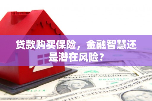 平溪贷款购买保险，金融智慧还是潜在风险？