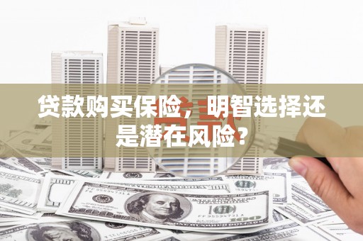 平溪贷款购买保险，明智选择还是潜在风险？