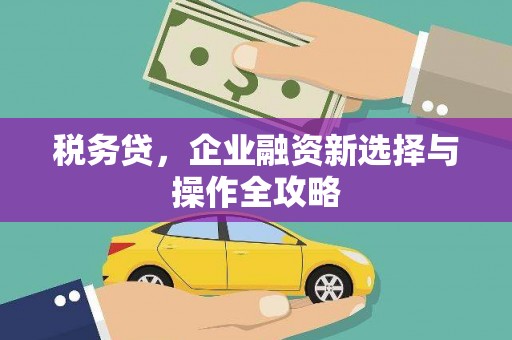 平溪税务贷，企业融资新选择与操作全攻略