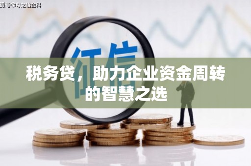 平溪税务贷，助力企业资金周转的智慧之选