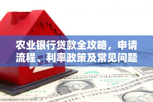 平溪农业银行贷款全攻略，申请流程、利率政策及常见问题解析