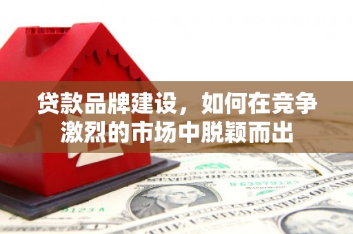 平溪贷款品牌建设，如何在竞争激烈的市场中脱颖而出