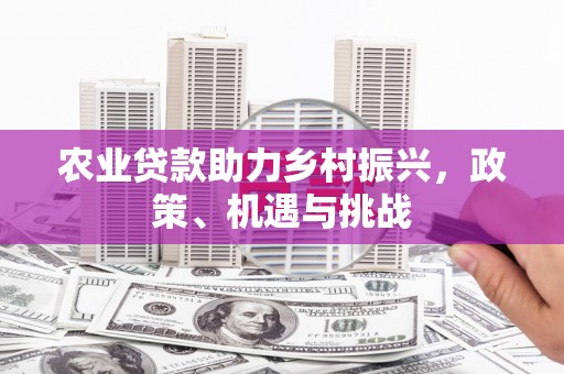 平溪农业贷款助力乡村振兴，政策、机遇与挑战