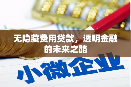 平溪无隐藏费用贷款，透明金融的未来之路