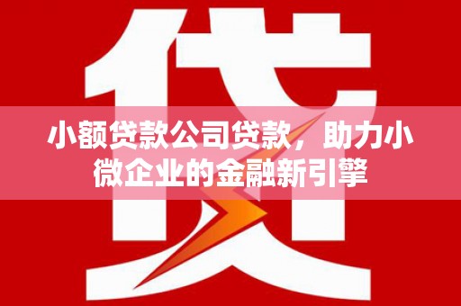 平溪小额贷款公司贷款，助力小微企业的金融新引擎