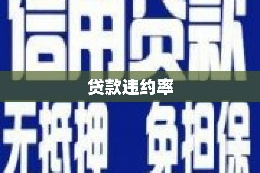 平溪贷款违约率