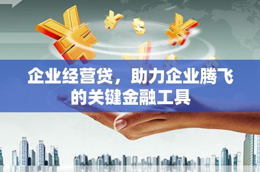 平溪企业经营贷，助力企业腾飞的关键金融工具