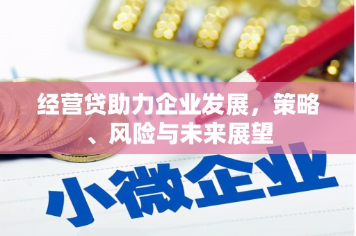 平溪经营贷助力企业发展，策略、风险与未来展望