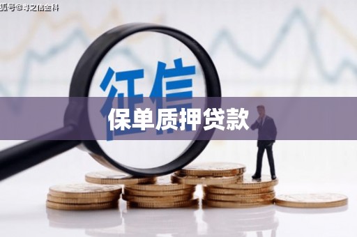 平溪保单质押贷款