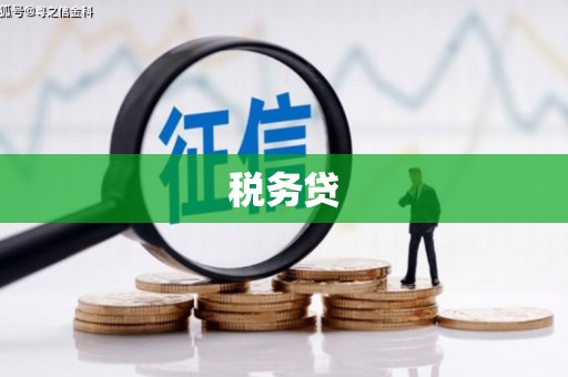 平溪税务贷