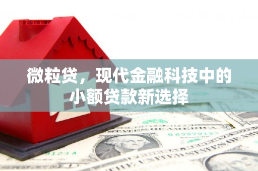 平溪微粒贷，现代金融科技中的小额贷款新选择