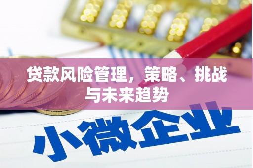 平溪贷款风险管理，策略、挑战与未来趋势