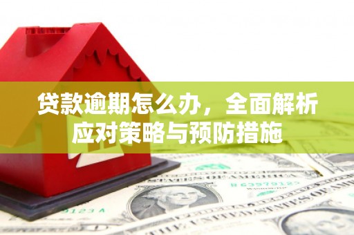 平溪贷款逾期怎么办，全面解析应对策略与预防措施