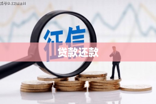 平溪贷款还款