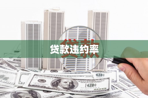 平溪贷款违约率