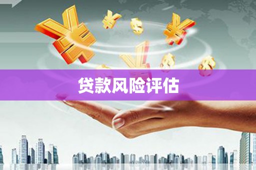 平溪贷款风险评估