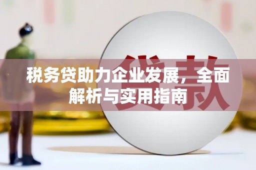 平溪税务贷助力企业发展，全面解析与实用指南