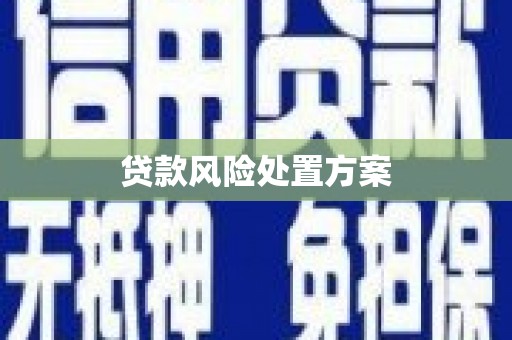 平溪贷款风险处置方案