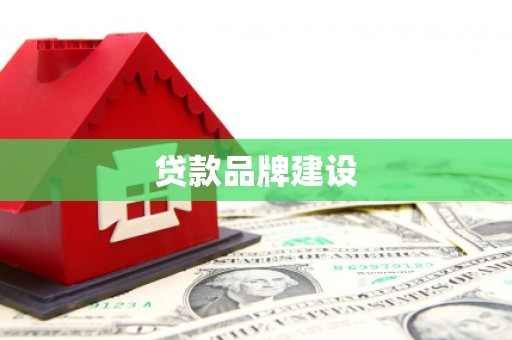 平溪贷款品牌建设