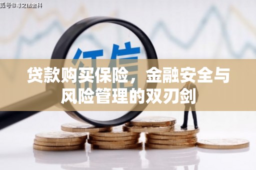 平溪贷款购买保险，金融安全与风险管理的双刃剑