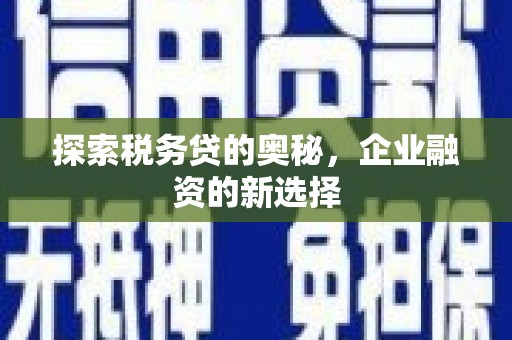 平溪探索税务贷的奥秘，企业融资的新选择