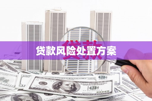 平溪贷款风险处置方案