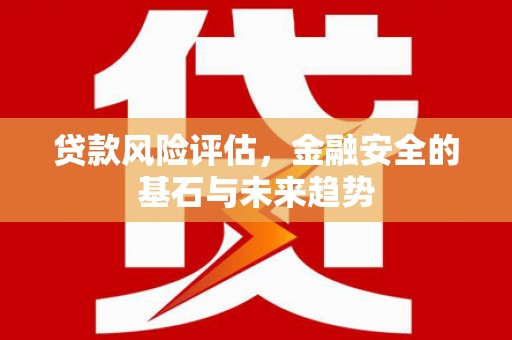 平溪贷款风险评估，金融安全的基石与未来趋势