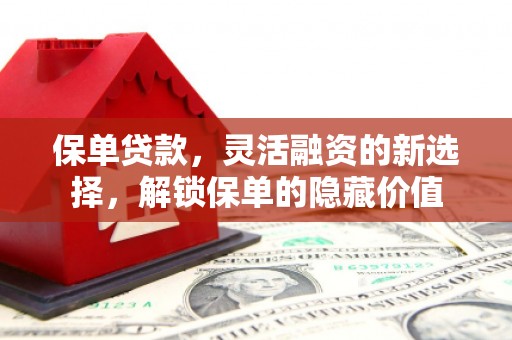 平溪保单贷款，灵活融资的新选择，解锁保单的隐藏价值