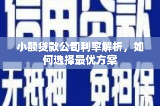 平溪小额贷款公司利率解析，如何选择最优方案