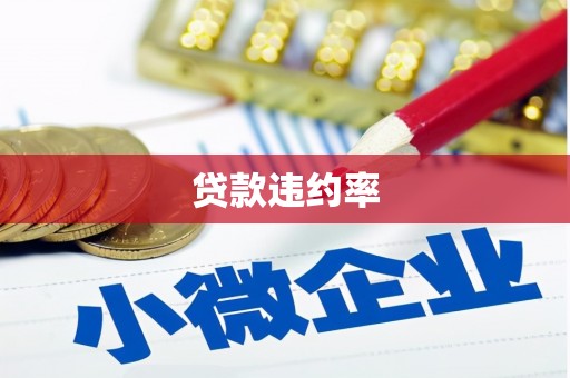平溪贷款违约率