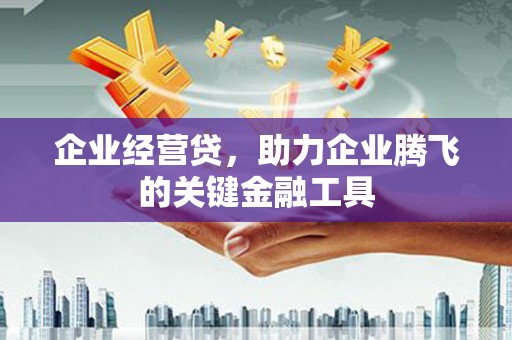 平溪企业经营贷，助力企业腾飞的关键金融工具