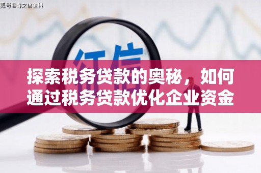 平溪探索税务贷款的奥秘，如何通过税务贷款优化企业资金流