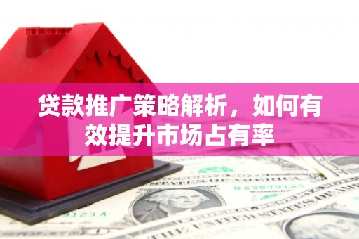 平溪贷款推广策略解析，如何有效提升市场占有率