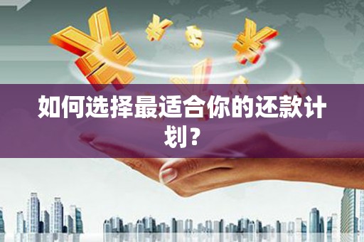 平溪如何选择最适合你的还款计划？