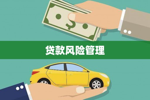 平溪贷款风险管理