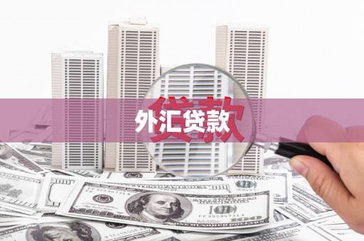 平溪外汇贷款
