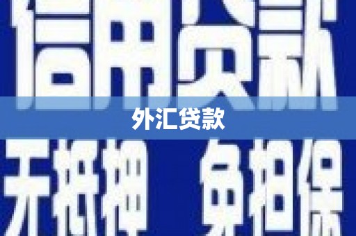 平溪外汇贷款