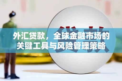 平溪外汇贷款，全球金融市场的关键工具与风险管理策略