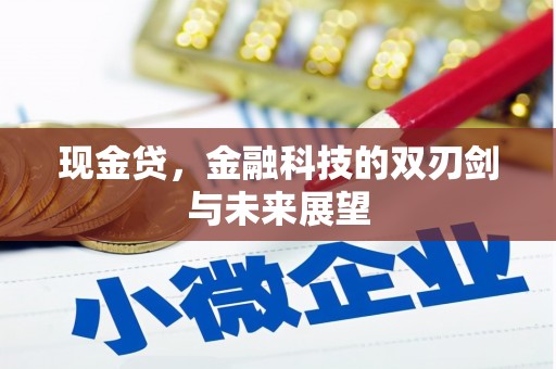 平溪现金贷，金融科技的双刃剑与未来展望