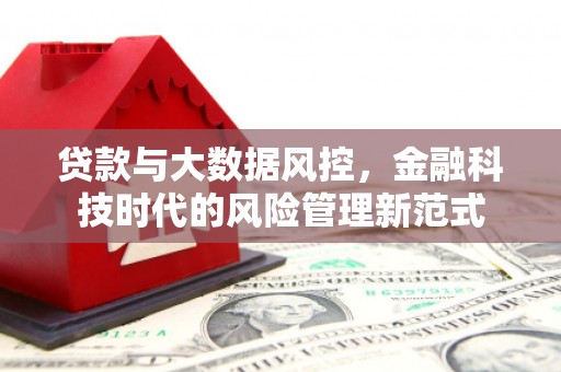 平溪贷款与大数据风控，金融科技时代的风险管理新范式