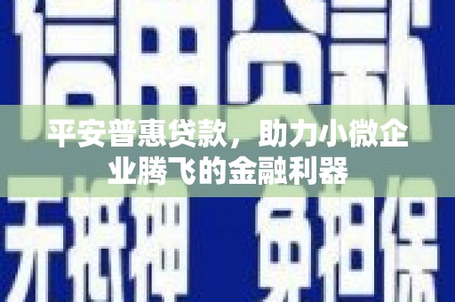 平溪平安普惠贷款，助力小微企业腾飞的金融利器