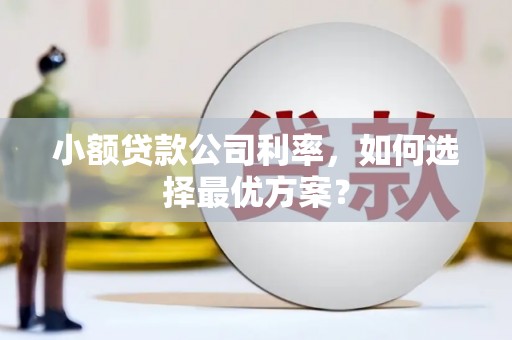 平溪小额贷款公司利率，如何选择最优方案？