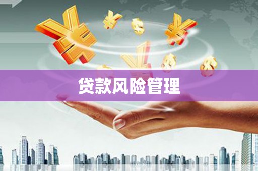 平溪贷款风险管理