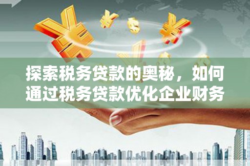 平溪探索税务贷款的奥秘，如何通过税务贷款优化企业财务