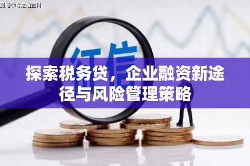 平溪探索税务贷，企业融资新途径与风险管理策略