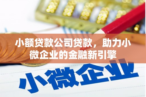平溪小额贷款公司贷款，助力小微企业的金融新引擎