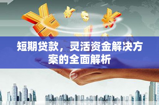 平溪短期贷款，灵活资金解决方案的全面解析