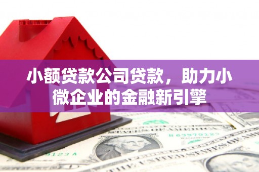 平溪小额贷款公司贷款，助力小微企业的金融新引擎