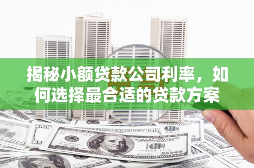 平溪揭秘小额贷款公司利率，如何选择最合适的贷款方案
