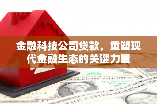 平溪金融科技公司贷款，重塑现代金融生态的关键力量